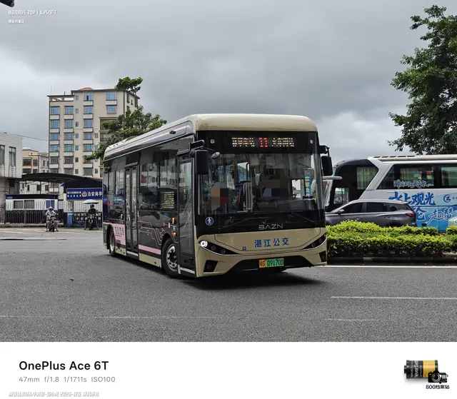 800BUS