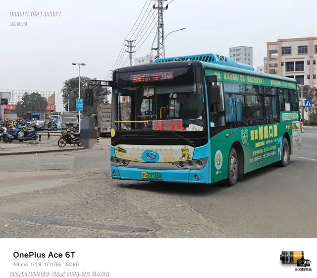 800BUS