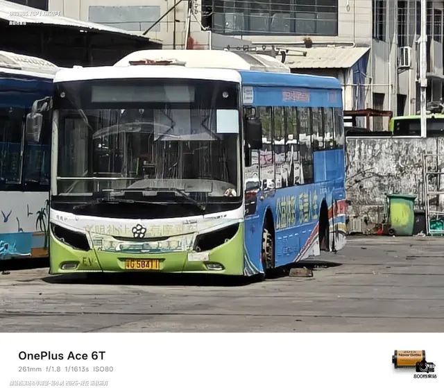 800BUS