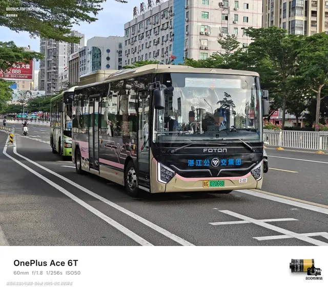 800BUS
