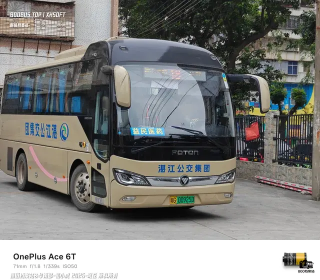 800BUS