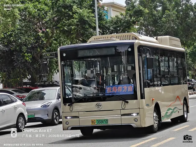 800BUS