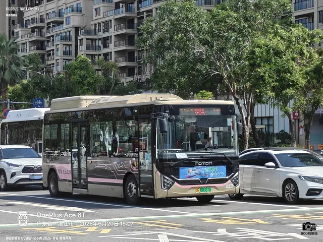 800BUS