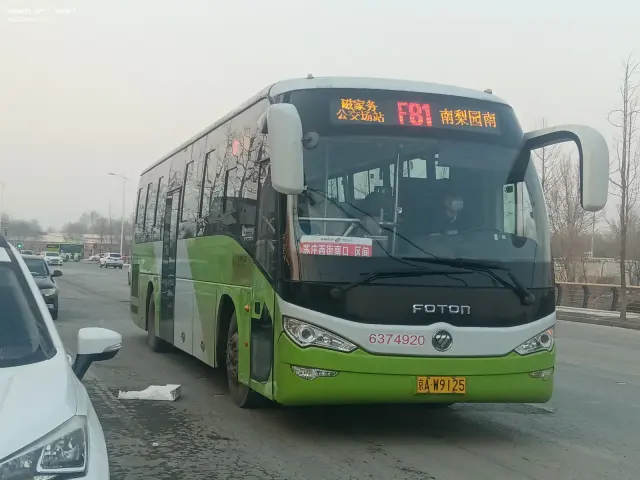 800BUS