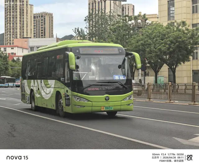 800BUS
