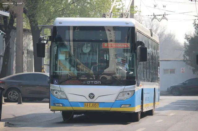 800BUS