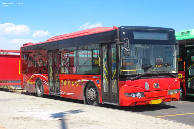 800BUS