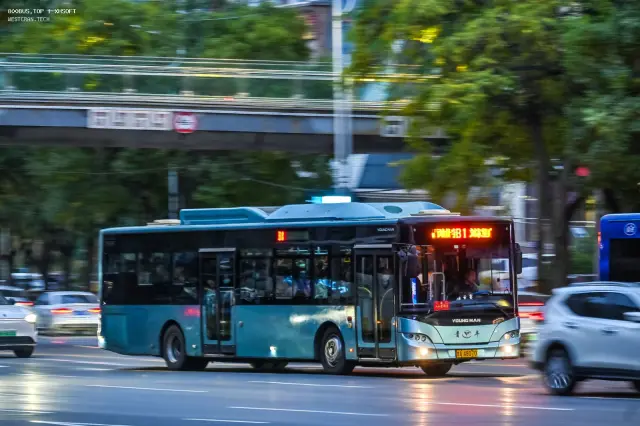 甘A 48070