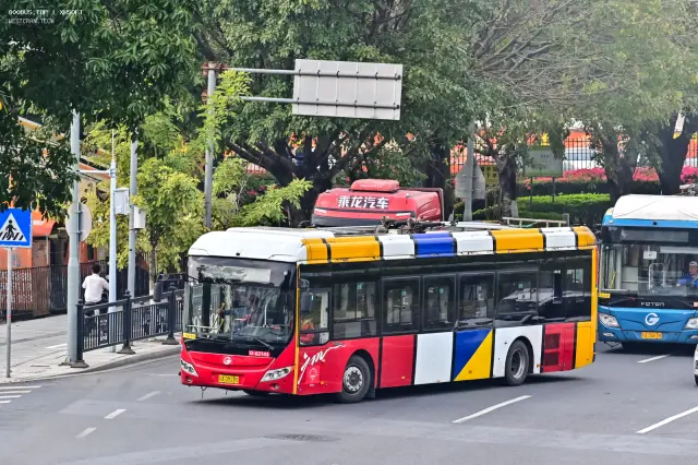 800BUS