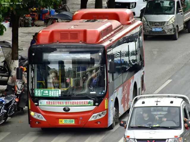 800BUS