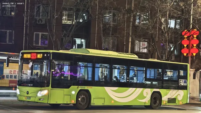 800BUS