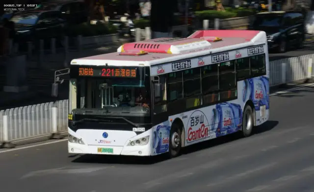 800BUS