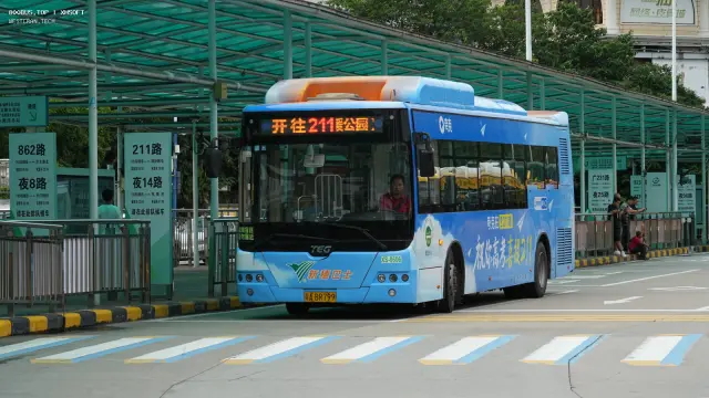 800BUS
