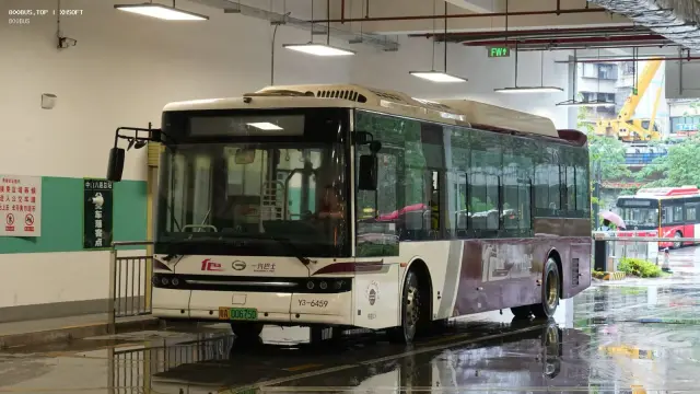 800BUS