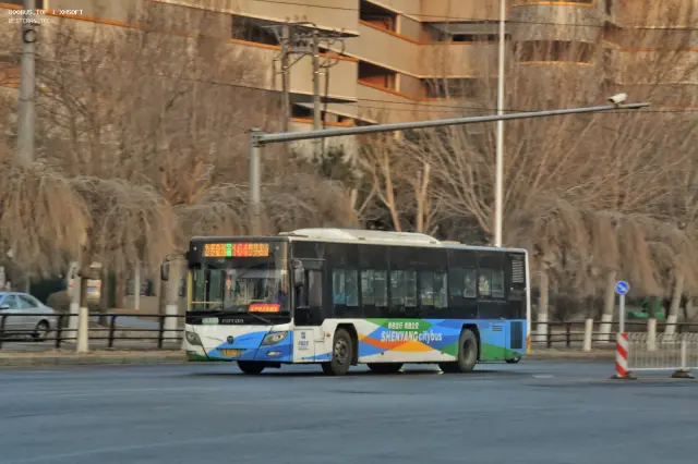 800BUS