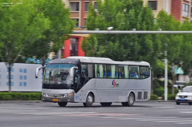 800BUS
