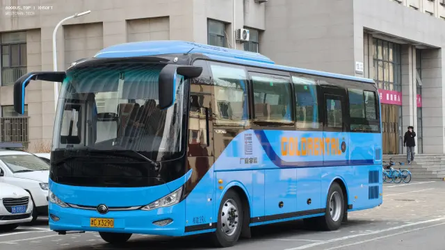 800BUS