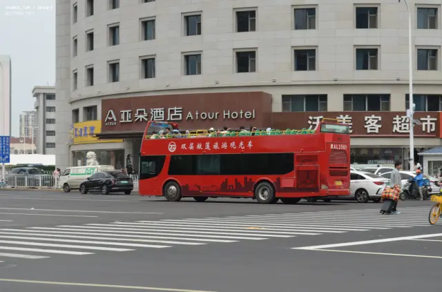 800BUS