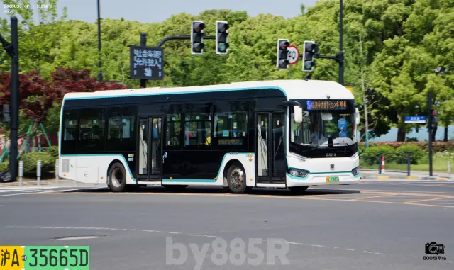 800BUS
