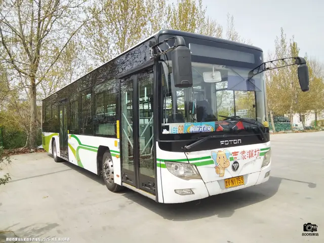 800BUS