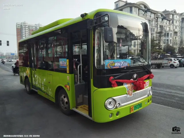 800BUS