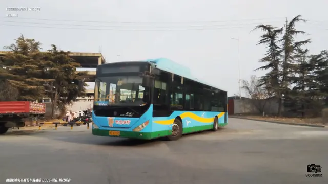 800BUS