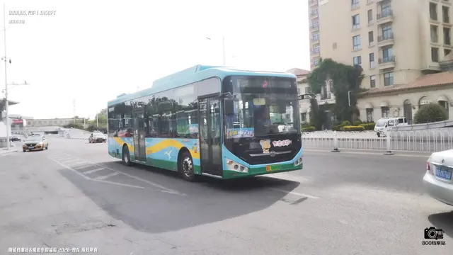 800BUS