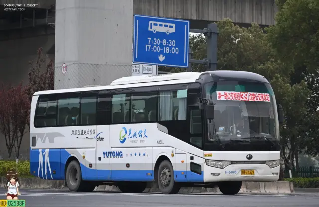 800BUS