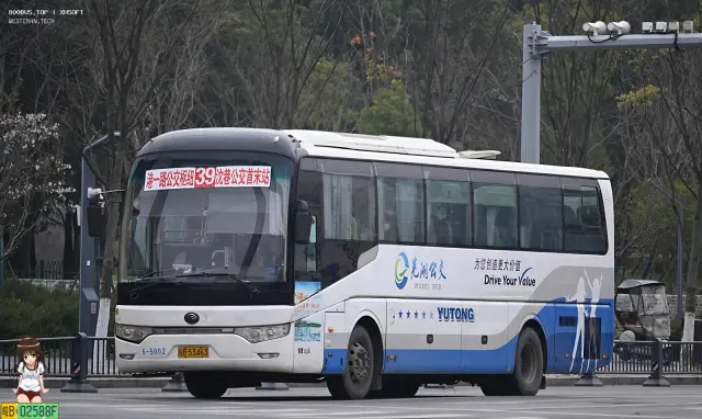 800BUS