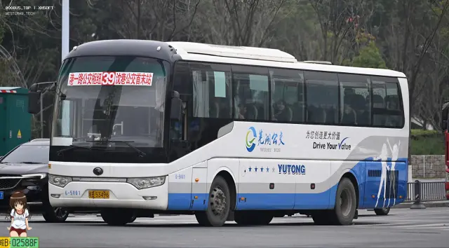 800BUS