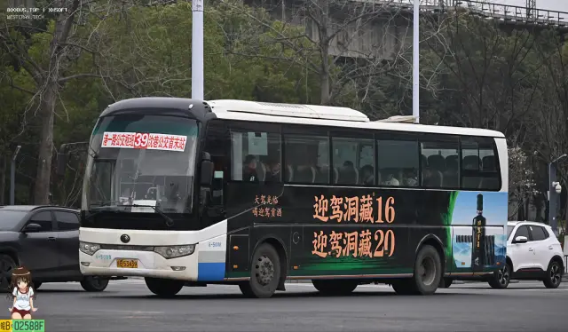 800BUS