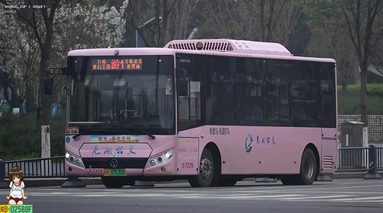 Bus Archive