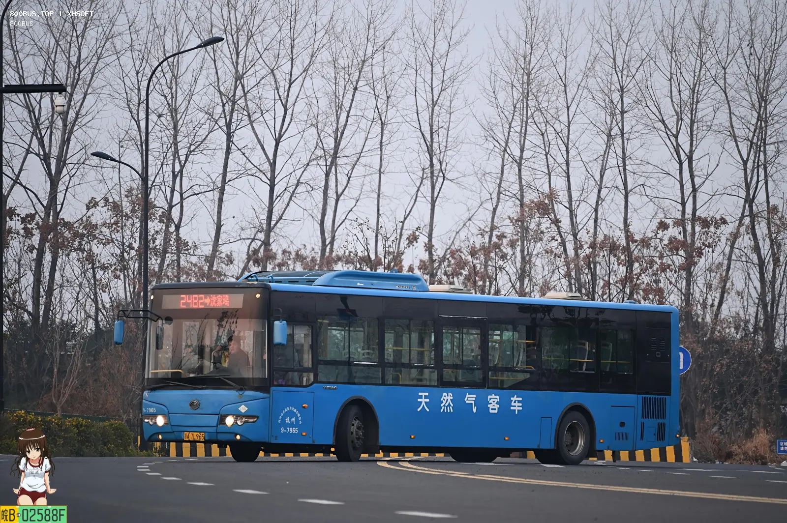 Bus Archive
