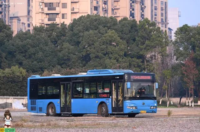浙A.7L965