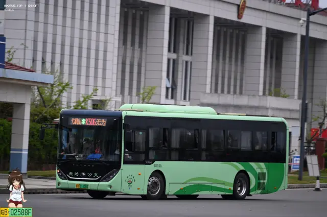 800BUS