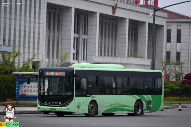 800BUS