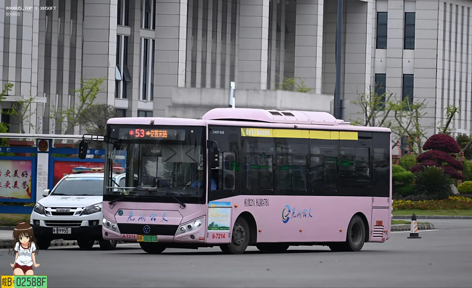 Bus Archive