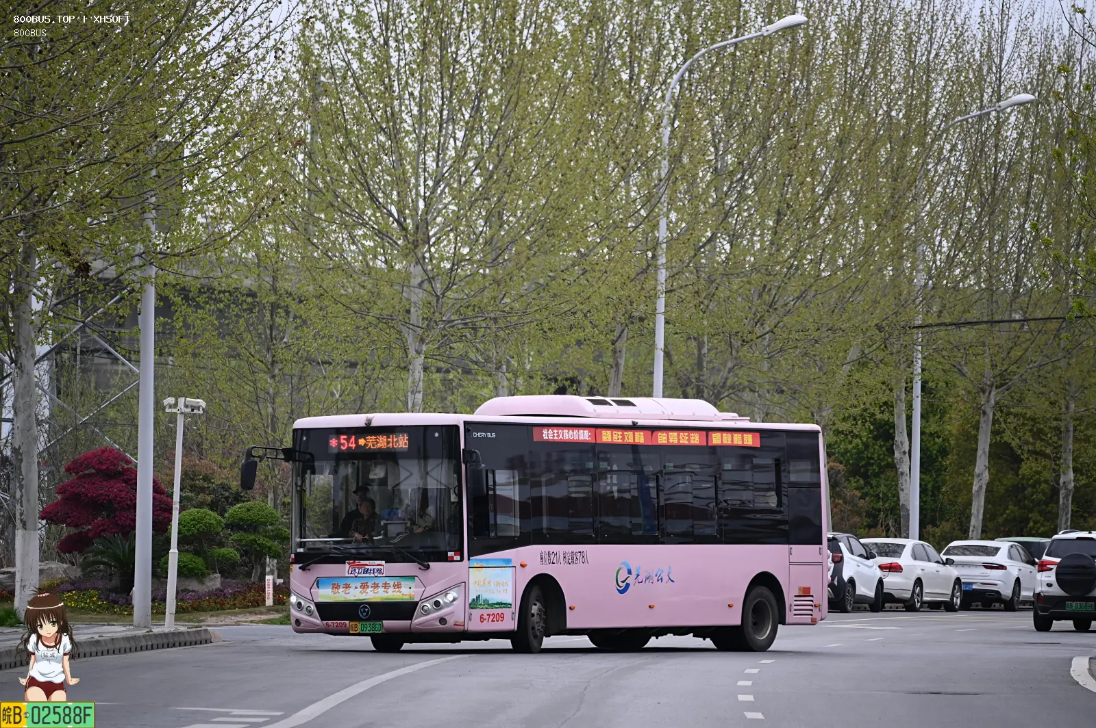 Bus Archive