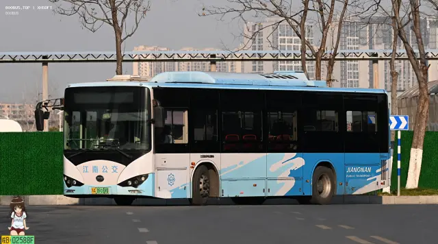 800BUS