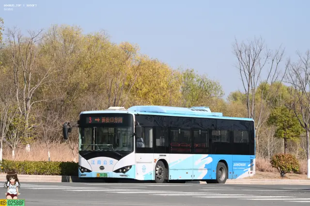 800BUS