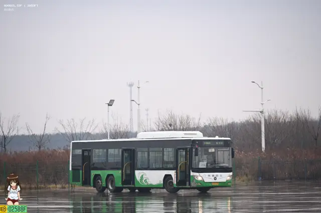 800BUS