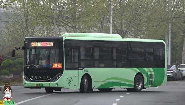 800BUS