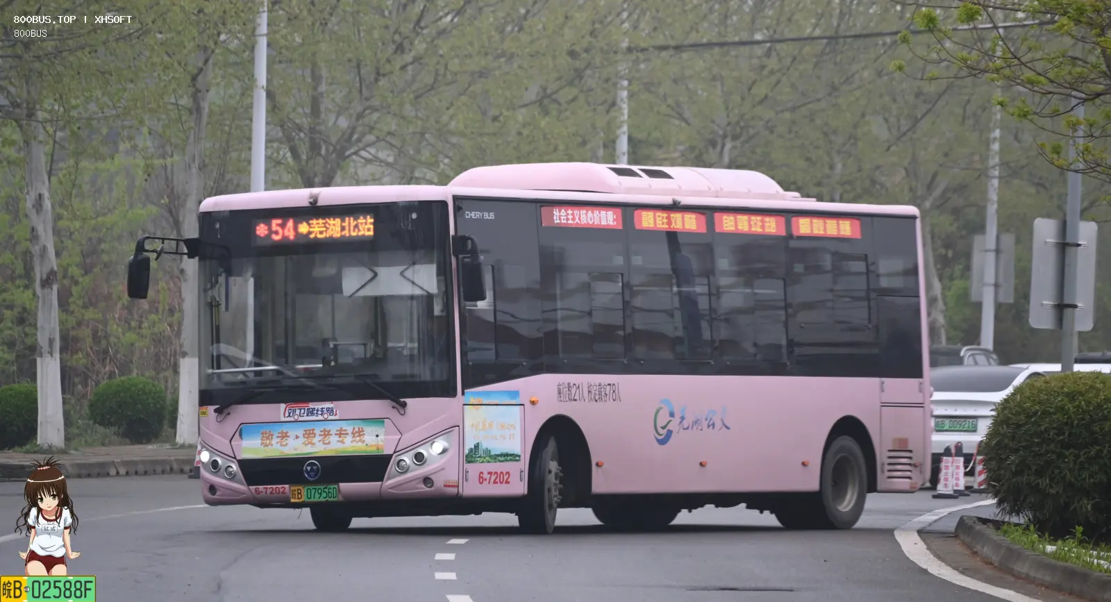 Bus Archive