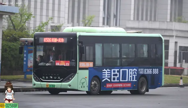 800BUS