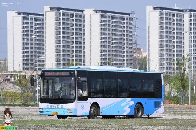 800BUS