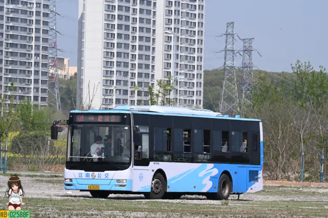 800BUS