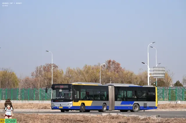 800BUS