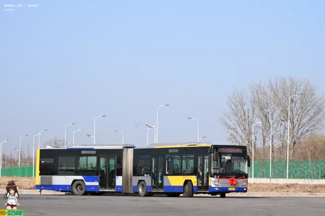 800BUS