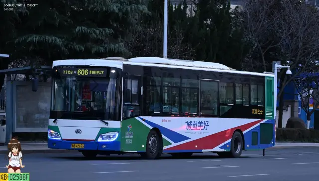800BUS