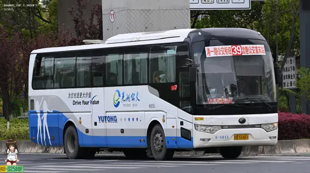 800BUS